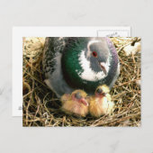 Mutter-Tagespostkarte Postkarte (Vorne/Hinten)