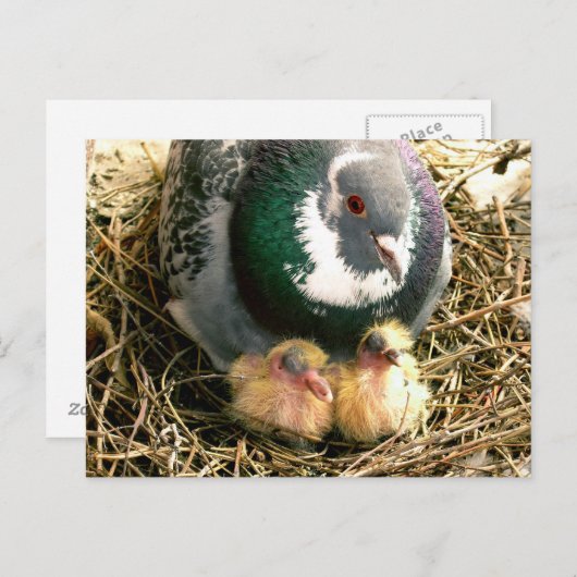 Mutter-Tagespostkarte Postkarte (Vorne/Hinten)