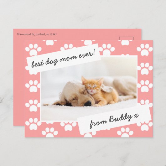 Mutter taghund Mutter Foto Postkarte (Vorne/Hinten)