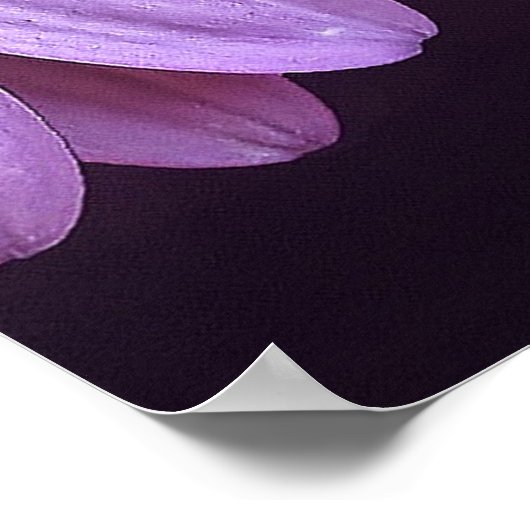 Mutter Theresa Zitat 24" x 24", Plakatpapier Poster (Ecke)