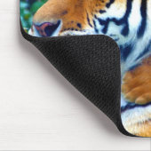 Mutter-Tiger mit Baby CUB-Klettern und beißendes Mousepad (Ecke)