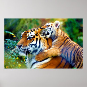 Mutter Tiger mit Baby Cub Klettern und Bitterohr Poster