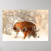 Mutter Tiger und Cube im Schneewald Poster (Vorne)