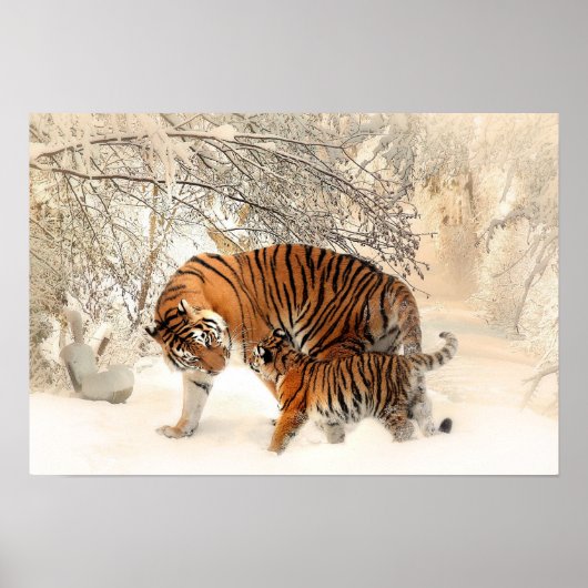 Mutter Tiger und Cube im Schneewald Poster (Vorne)
