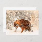 Mutter Tiger und Cube im Schneewald Postkarte (Vorne/Hinten)