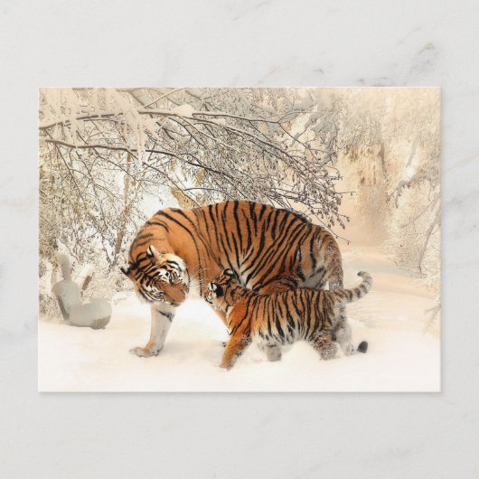 Mutter Tiger und Cube im Schneewald Postkarte (Vorderseite)