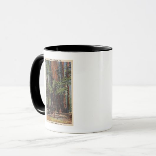 "Mutter" & "Tochter" im Big Trees Park Tasse (Vorderseite Links)