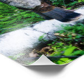 Mutter Türkei Foto (Ecke)