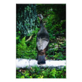 Mutter Türkei Foto (Vorne)