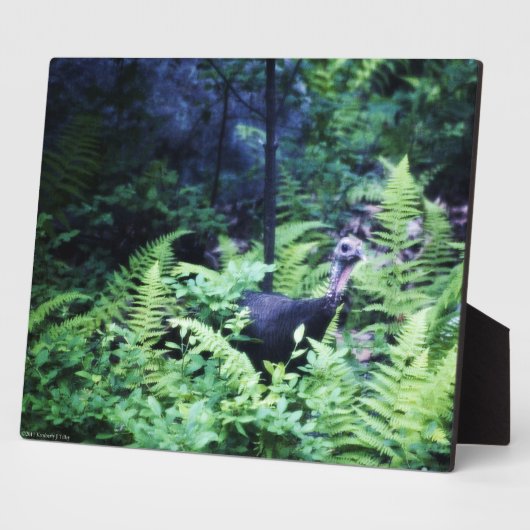 Mutter Türkei in Ferns Plaque Fotoplatte (Seite)