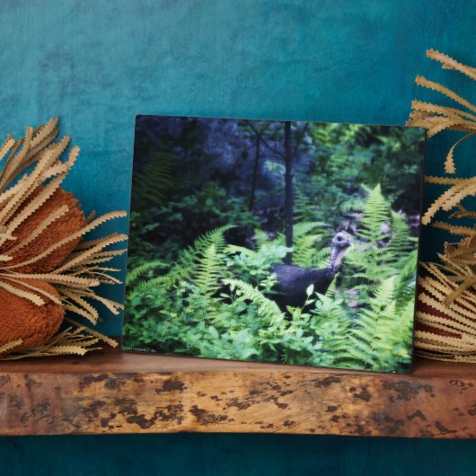 Mutter Türkei in Ferns Plaque Fotoplatte (Seite)