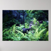 Mutter Türkei in Ferns Poster (Vorne)