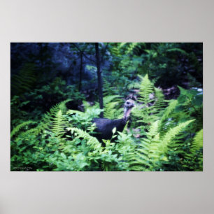 Mutter Türkei in Ferns Poster
