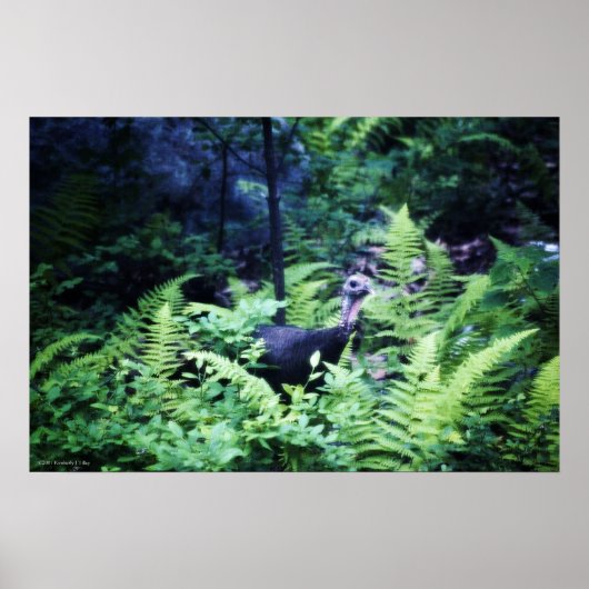 Mutter Türkei in Ferns Poster (Vorne)