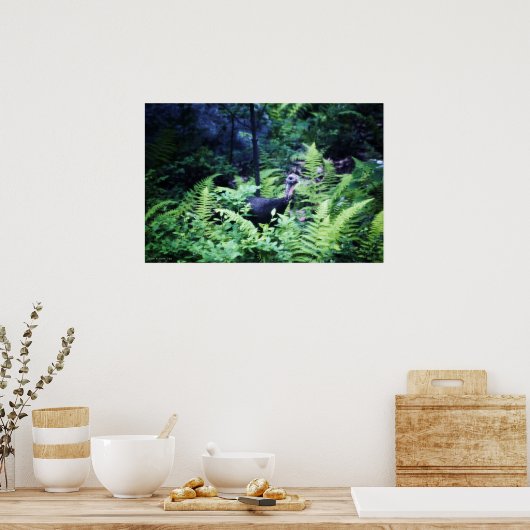 Mutter Türkei in Ferns Poster (Küche)