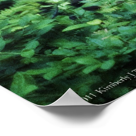 Mutter Türkei in Ferns Poster (Ecke)