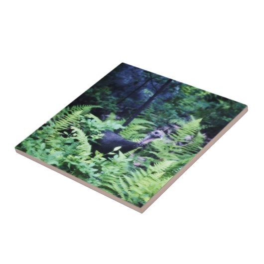 Mutter Türkei in Ferns Tile Fliese (Seite)