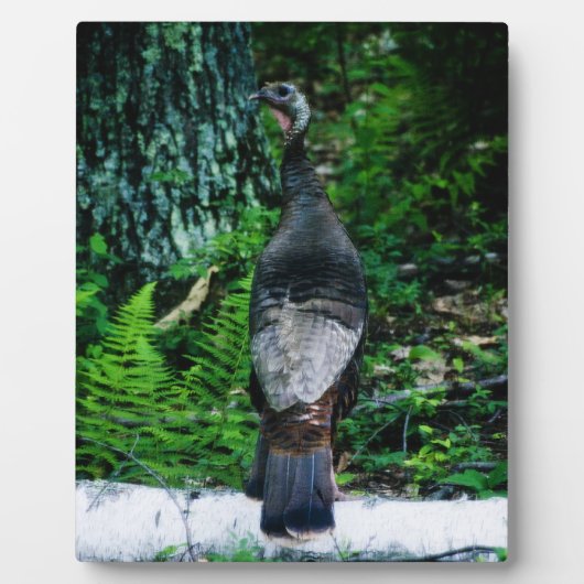 Mutter Türkei Plaque Fotoplatte (Vorderseite)