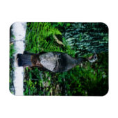 Mutter Türkei Vinyl Magnet (Horizontal)