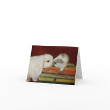 Mutter-u. Baby-Häschen