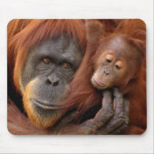 Mutter-u. Baby-Orang-Utan Mousepad (Vorne)