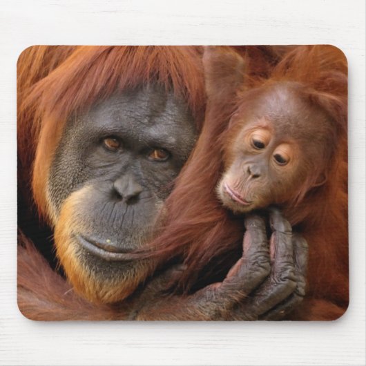Mutter-u. Baby-Orang-Utan Mousepad (Vorne)