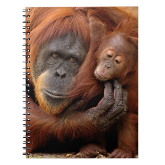 Mutter-u. Baby-Orang-Utan Notizblock (Vorderseite)