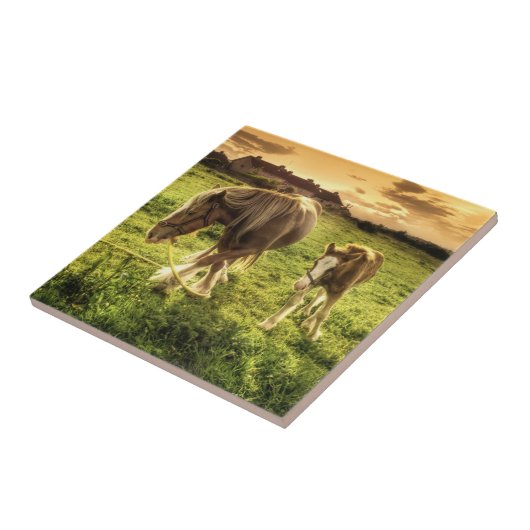 Mutter-u. Fohlen-Pferd Fliese (Seite)