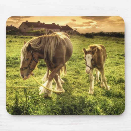 Mutter-u. Fohlen-Pferd Mousepad (Vorne)
