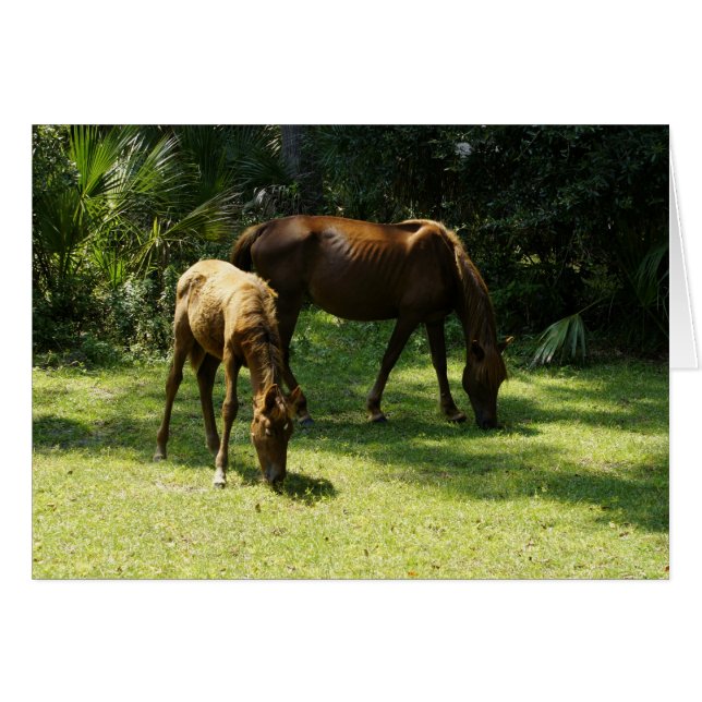 Mutter und Baby (Vorderseite (Horizontal))