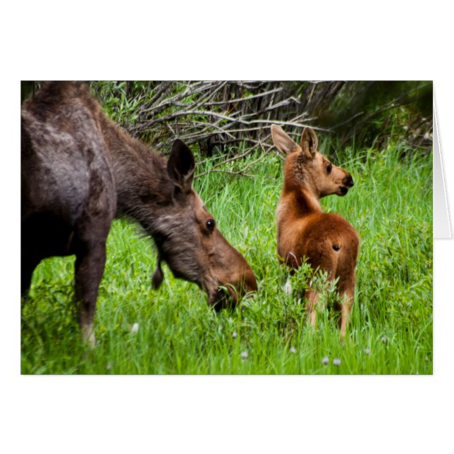 Mutter und Baby (Vorderseite (Horizontal))