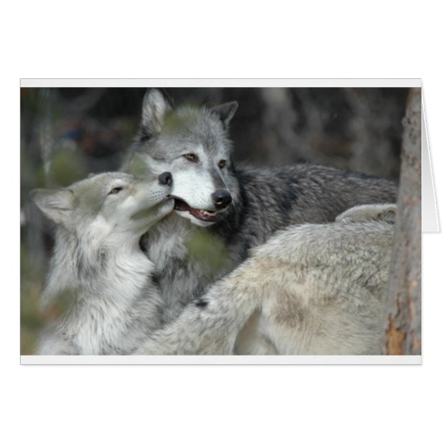 Mutter und Baby (Vorderseite (Horizontal))