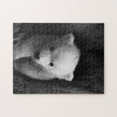 Mutter und Baby Animal Bear Fotografie Jigsaw Puzzle (Horizontal)