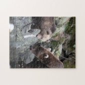 Mutter und Baby Animal Bear Fotografy Animal Puzzle (Horizontal)