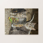 Mutter und Baby Animal Cat Fotografie Tier Puzzle (Horizontal)