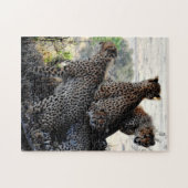 Mutter und Baby Animal Cheetah Fotografie Tier Puzzle (Horizontal)