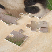 Mutter und Baby Animal Panda BärenfotografieTier Puzzle (Seite)