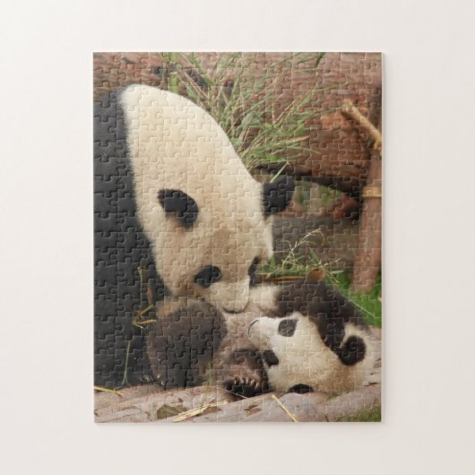 Mutter und Baby Animal Panda BärenfotografieTier Puzzle (Vertikal)