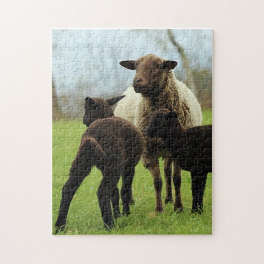 Mutter und Baby Animal Sheep Fototier Puzzle (Vertikal)