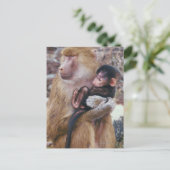 Mutter und Baby Baboon Postkarte (Stehend Vorderseite)