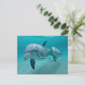 MUTTER UND BABY CALF DOLPHIN POSTKARTE (Stehend Vorderseite)