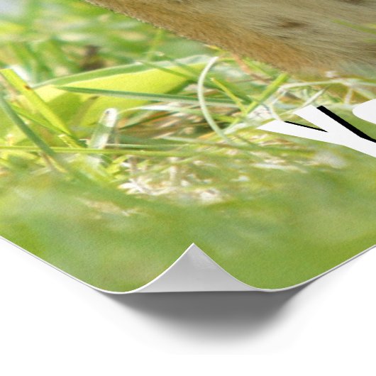 Mutter und Baby Chipmunk Poster (Ecke)