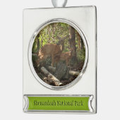 Mutter und Baby Deer im Shenandoah-Nationalpark Banner-Ornament Silber (Links)