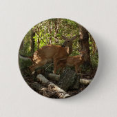 Mutter und Baby Deer im Shenandoah-Nationalpark Button (Vorderseite)