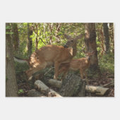 Mutter und Baby Deer im Shenandoah-Nationalpark Geschenkpapier Set (Vorderseite)