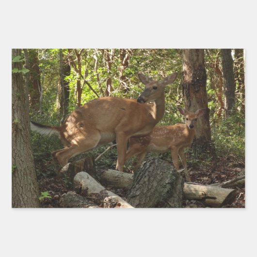 Mutter und Baby Deer im Shenandoah-Nationalpark Geschenkpapier Set (Vorderseite)