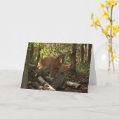 Mutter und Baby Deer im Shenandoah-Nationalpark Karte (Gelbe Blume)