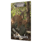 Mutter und Baby Deer im Shenandoah-Nationalpark Klemmbrett (Links)