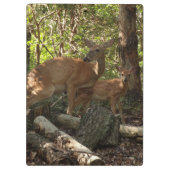 Mutter und Baby Deer im Shenandoah-Nationalpark Klemmbrett (Rückseite)