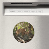 Mutter und Baby Deer im Shenandoah-Nationalpark Magnet (In Situ (Geschirrspüler))